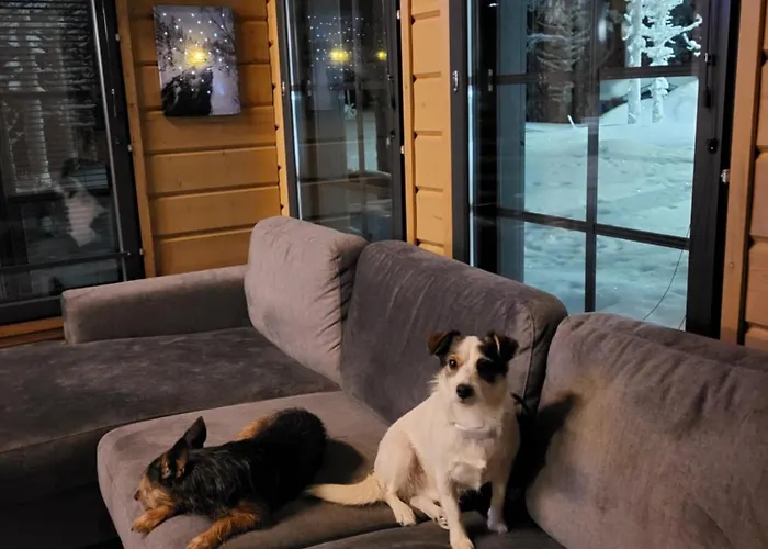 Ferienhaus Tunturipoelloe 4 *